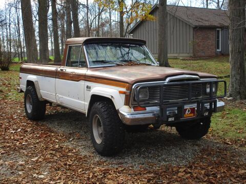 Jeep Divers 1979 1979 occasion Lyon 69002
