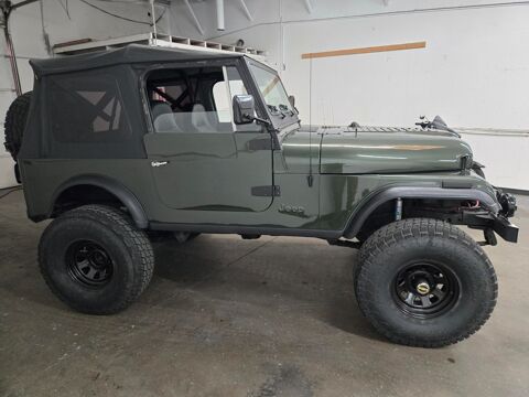 Jeep Divers 1979 1979 occasion Lyon 69002