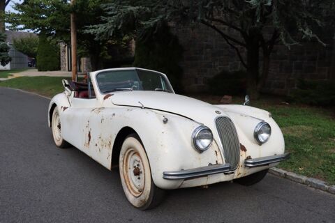 Jaguar XK 1954 1954 occasion Lyon 69002
