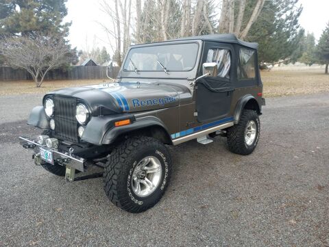 Jeep Renegade 1980 1980 occasion Lyon 69002