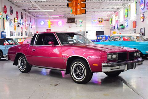Oldsmobile Divers 1980 1980 occasion Lyon 69002