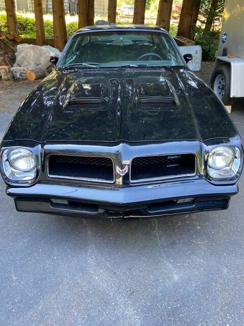 Pontiac Firebird 1976 1976 occasion Lyon 69002