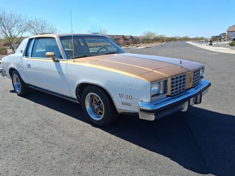 Oldsmobile Cutlass 1979 1979 occasion Lyon 69002