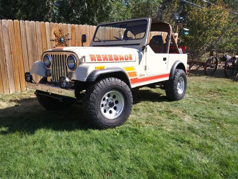 Jeep Renegade 1984 1984 occasion Lyon 69002