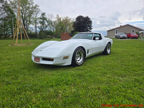 Chevrolet Corvette 1980 1980 occasion Lyon 69002