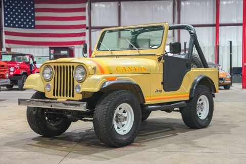Jeep Divers 1981 1981 occasion Lyon 69002