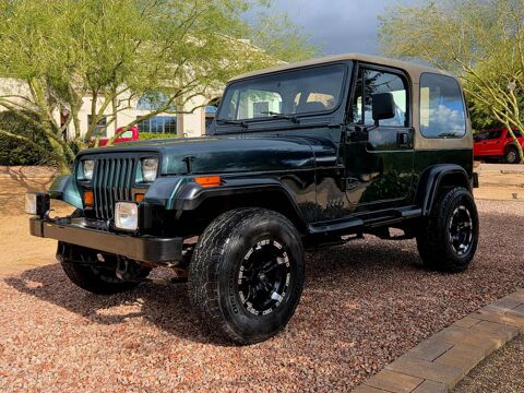 Jeep Wrangler 1994 1994 occasion Lyon 69002