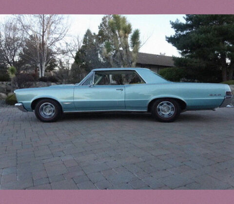 Pontiac Divers 1965 1965 occasion Lyon 69002