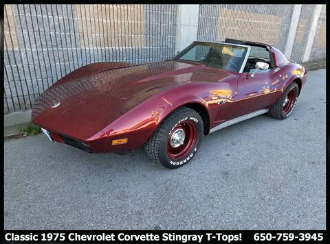 Chevrolet Corvette 1974 1974 occasion Lyon 69002