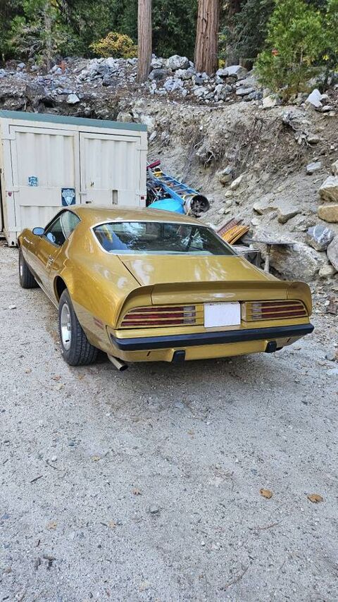Pontiac Firebird 1974 1974 occasion Lyon 69002