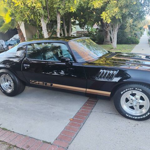Camaro 1979 1979 occasion 69002 Lyon