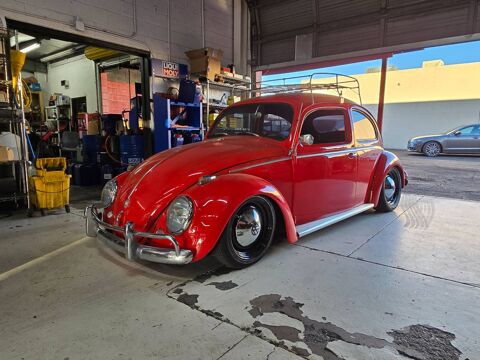 Volkswagen Beetle 1959 1959 occasion Lyon 69002