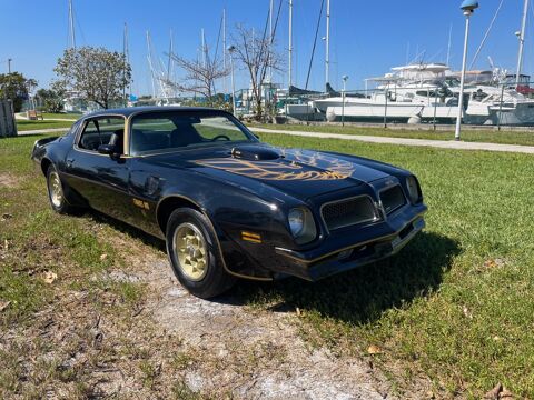 Pontiac Firebird 1976 1976 occasion Lyon 69002