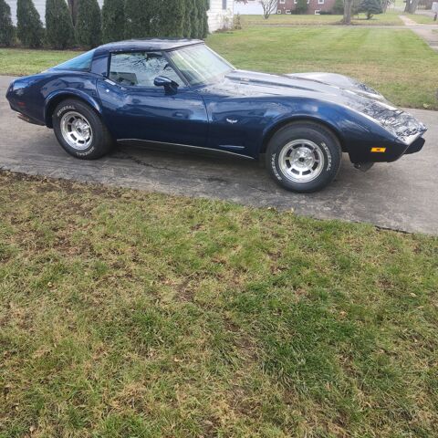 Corvette 1979 1979 occasion 69002 Lyon