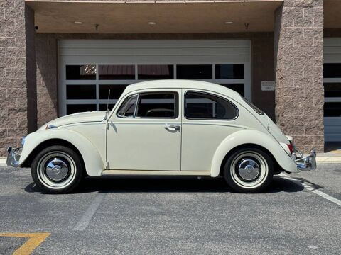 Volkswagen Beetle 1967 1967 occasion Lyon 69002