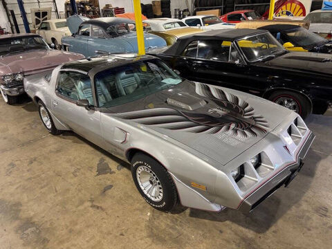 Pontiac TransSport 1979 1979 occasion Lyon 69002