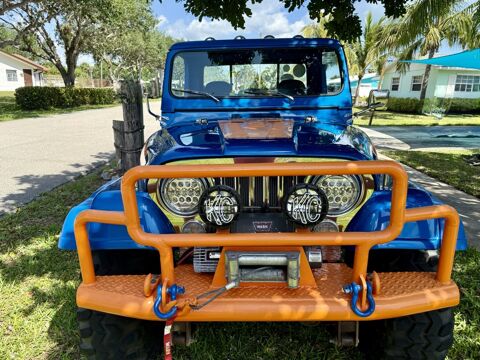 Jeep Divers 1982 1982 occasion Lyon 69002