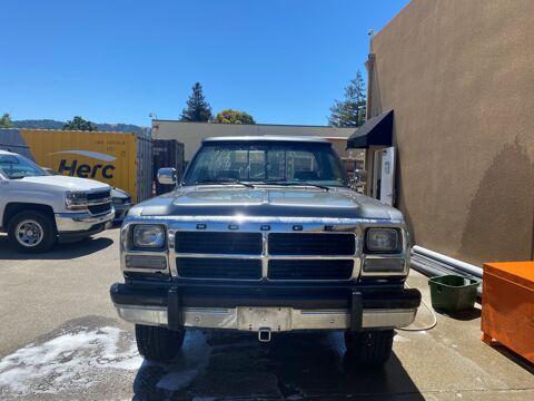 Dodge Divers 1991 1991 occasion Lyon 69002