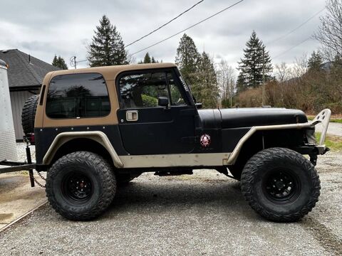 Jeep Wrangler 1987 1987 occasion Lyon 69002