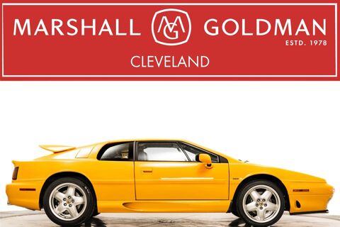 Lotus Esprit 1995 1995 occasion Lyon 69002