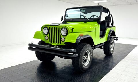 Jeep Divers 1973 1973 occasion Lyon 69002