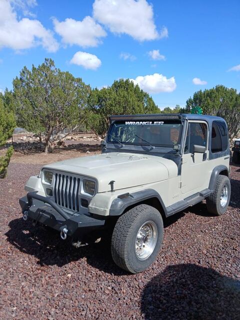 Jeep Wrangler 1988 1988 occasion Lyon 69002