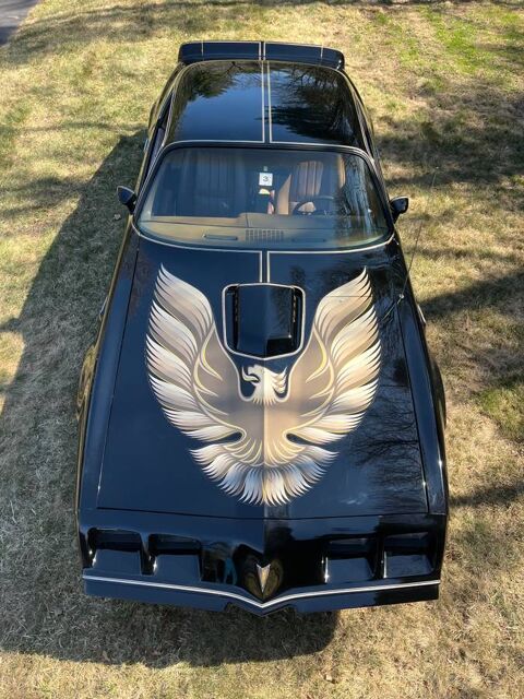 Pontiac Firebird 1980 1980 occasion Lyon 69002