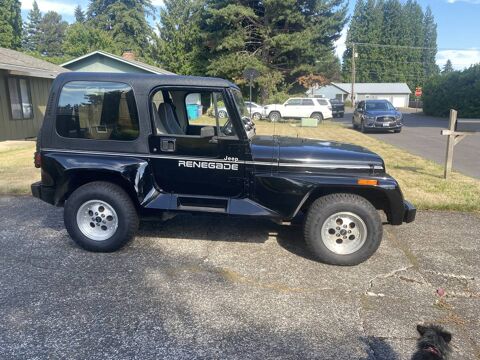 Jeep Wrangler 1993 1993 occasion Lyon 69002