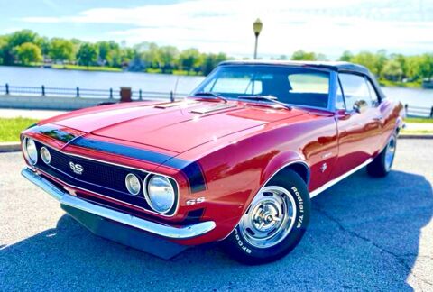 Chevrolet Malibu 1967 1967 occasion Lyon 69002