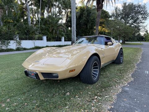 Chevrolet Corvette 1977 1977 occasion Lyon 69002