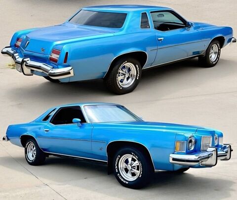 Pontiac Grand Prix 1973 1973 occasion Lyon 69002
