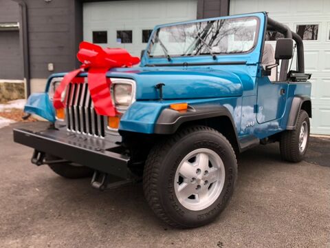 Jeep Wrangler 1993 1993 occasion Lyon 69002