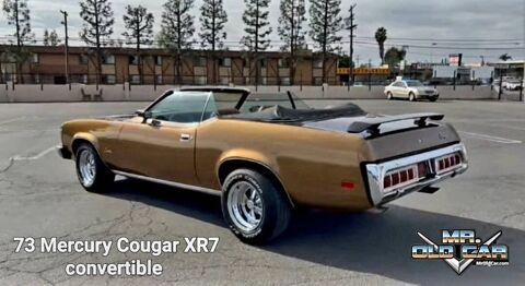 Mercury Divers 1973 1973 occasion Lyon 69002
