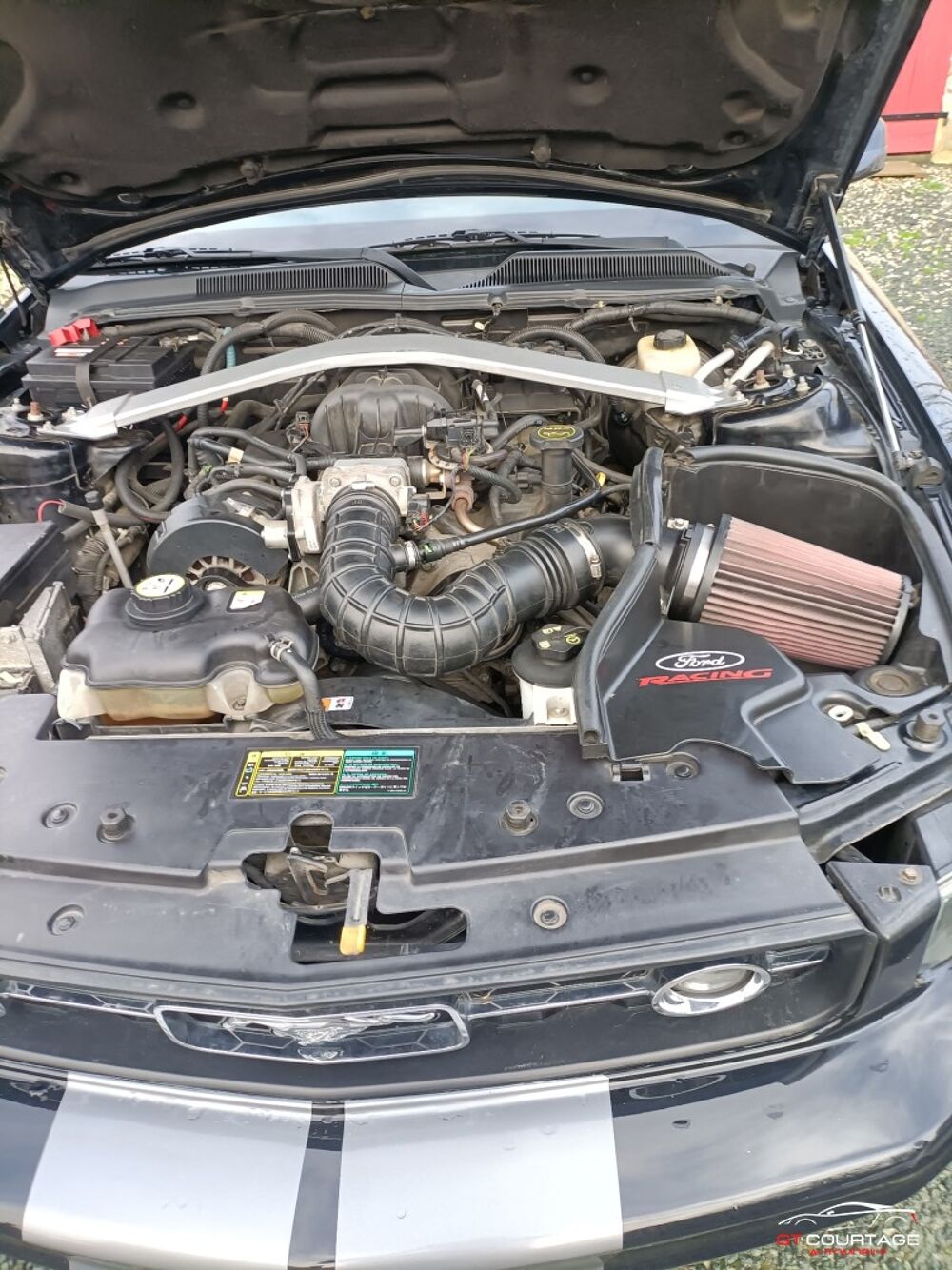 Mustang 4.0 V6 2004 occasion 44640 Saint-Jean-de-Boiseau