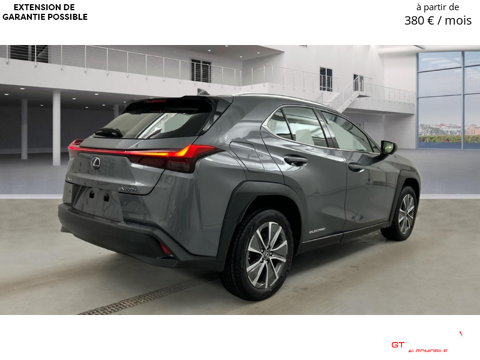 UX Luxury Line 2022 occasion 84860 Caderousse