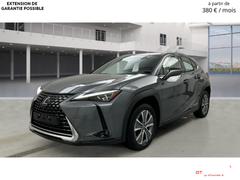 Lexus UX Luxury Line 2022 occasion Caderousse 84860