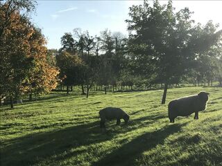  Maison  vendre 5 pices 172 m