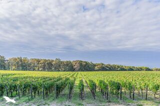  Maison  vendre 3 pices 87 m