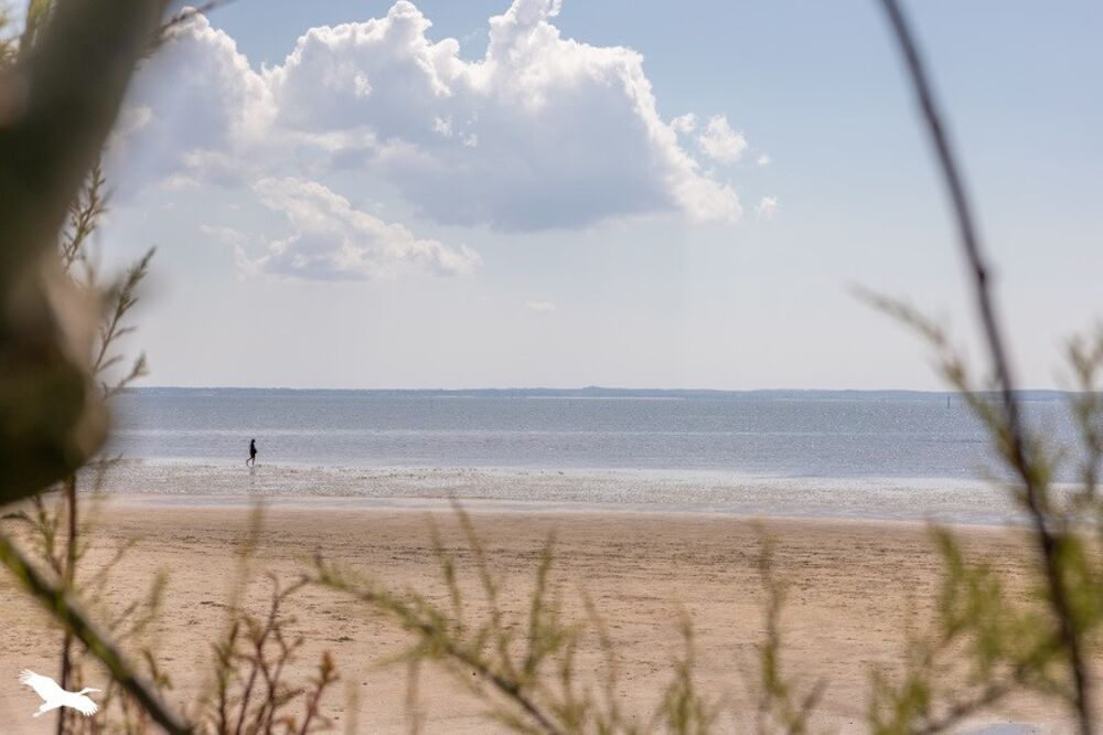 � vendre  Maison Ar�s (33740)