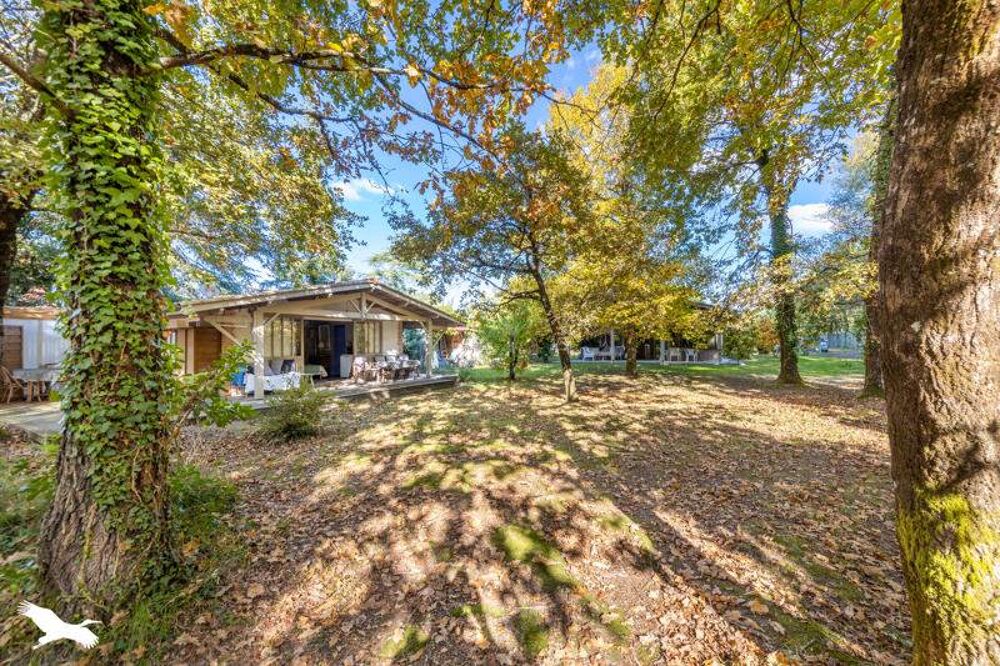  vendre  Maison Lge-Cap-Ferret (33950)