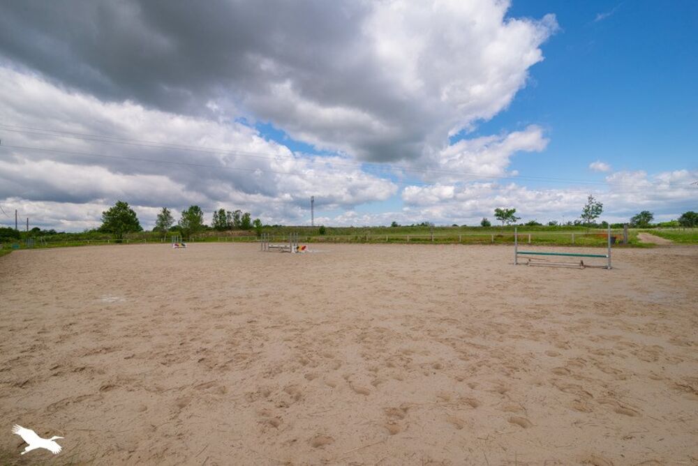  vendre  Maison Lguevin (31490)