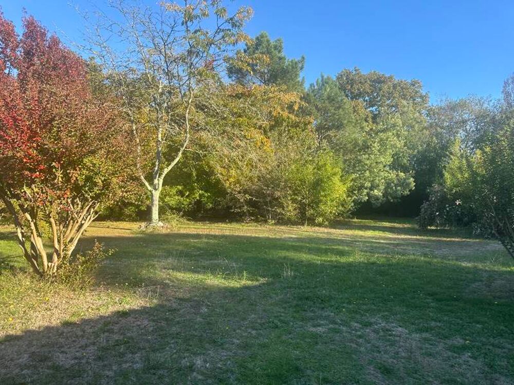  vendre  Maison Lge-Cap-Ferret (33950)