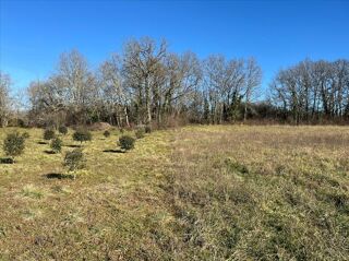  Terrain  vendre 3895 m