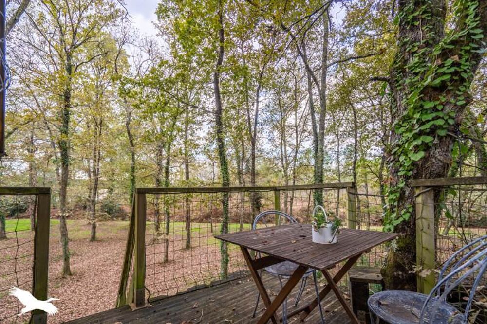  vendre  Maison Cestas (33610)