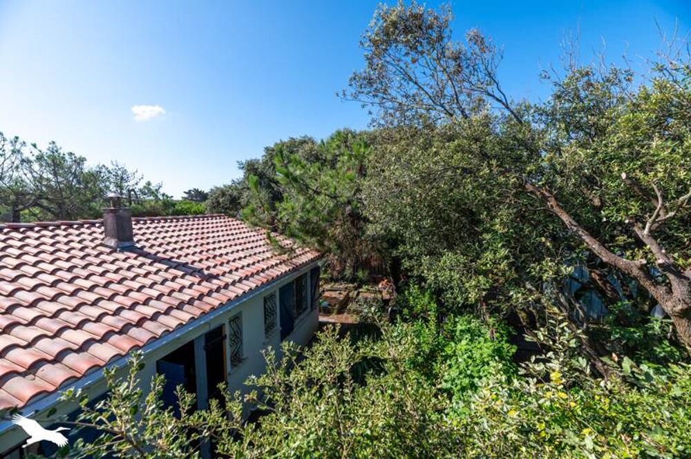  vendre  Maison Hourtin (33990)