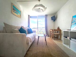  Appartement  vendre 1 pice 19 m