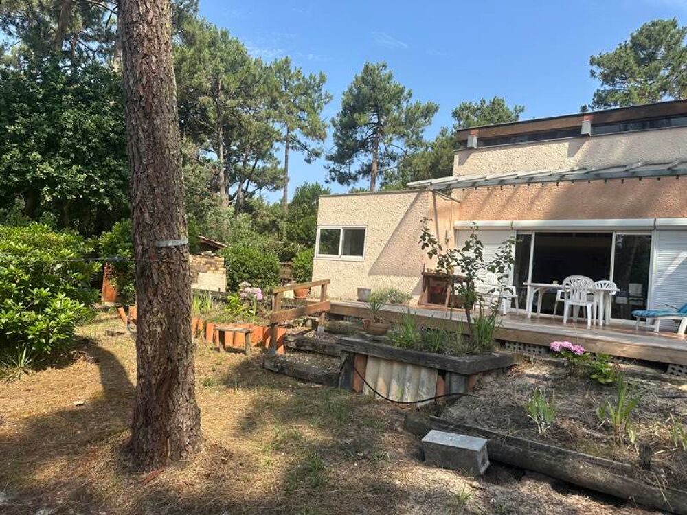  vendre  Maison Lge-Cap-Ferret (33950)