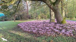  Maison  vendre 5 pices 114 m