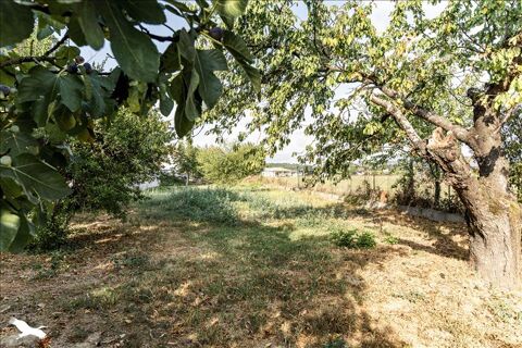   Maison de bourg de 5 pices principales Maison - 5 pice(s) - 184 m