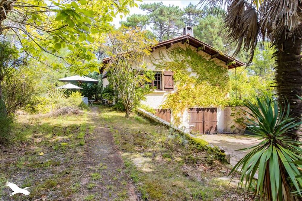  vendre  Maison Lge-Cap-Ferret (33950)